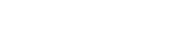 CFMoto Logo